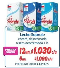 Soprole - Leche