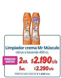 Limpiador Crema Mr Musculo