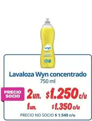 Wyn - Lavaloza  Concentrado