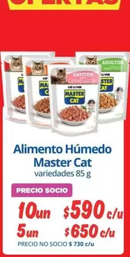 Cat - Alimento Humedo Master