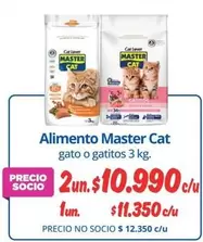 Master Cat - Alimento Gato O Gatitos
