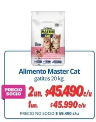 Cat - Alimento Master