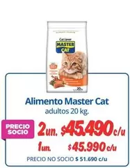 Cat - Alimento Master