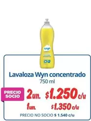 Wyn - Lavaloza  Concentrado