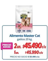 Cat - Alimento Master