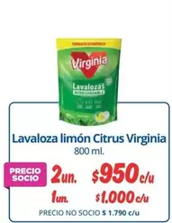 Virginia - Lavaloza Limon Citrus