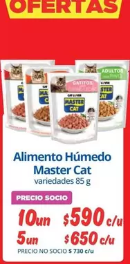 Cat - Alimento Humedo Master