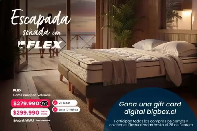 Flex - Cana JUNGTA GJIT Card Digital