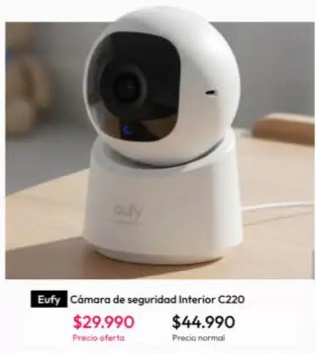 Cámara de seguridad interior C220