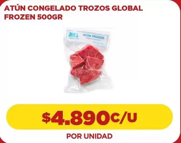Frozen - Atún Congelado Trozos Global