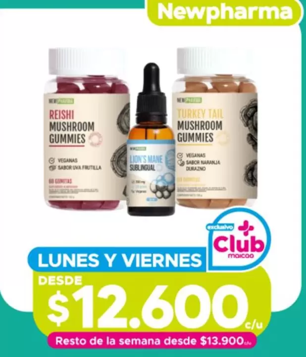 Club - Reishi Mushroom Gummies