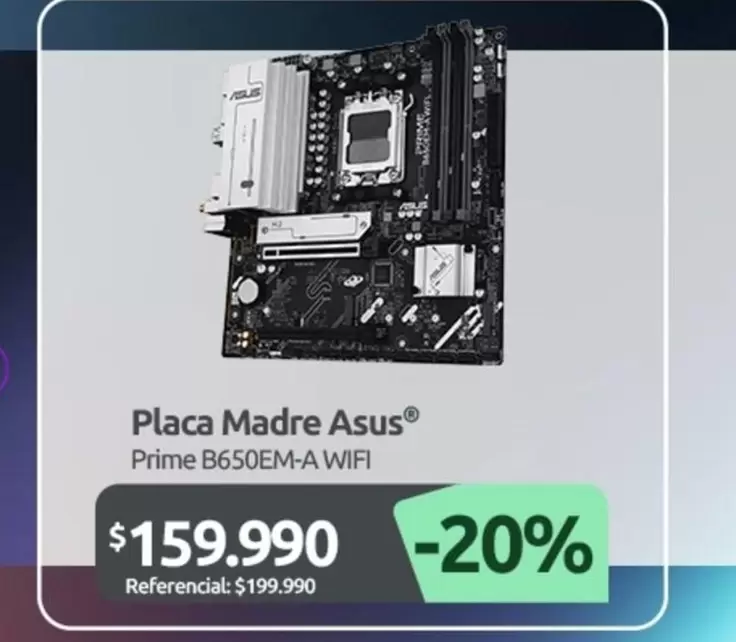 Asus - Placa Madre
