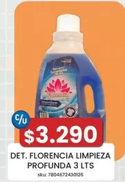Florencia - Det. Limpieza Profunda 3 Lts
