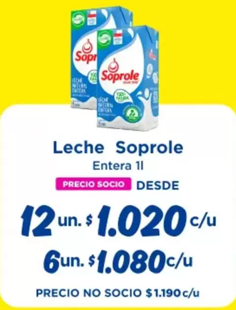 Soprole - Leche