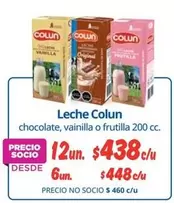 Colun - Leche