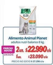 Balance  - Alimento Animal