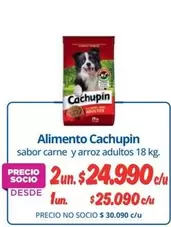 Cachupin - Alimento