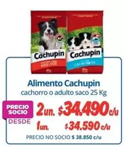 Cachupin - Alimento