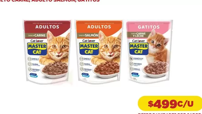 Cat - Adidas Adidas Adidas Adidas Adidas Adidas Adidas Adidas Adidas Adidas 1,5 L 600 Ml Desechables Artesanos