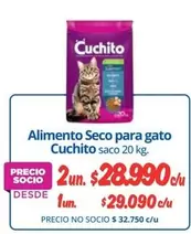 Gato   - Alimento Seco Para Gato