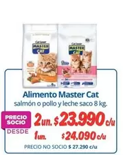 Cat - Alimento Master