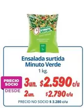 Minuto Verde - Ensalada Surtida