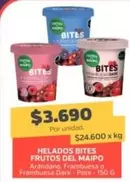 Frutos del Maipo - Helados Bites Frutos Del Maipo