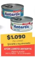 Antartic - Atun Lomito