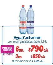Cachantun - Agua Con O Sin Gas Desechable