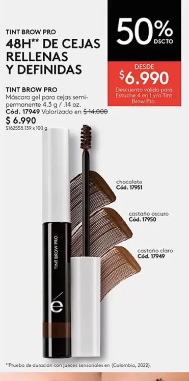 Castaño - 48h De Cejas Rellenas Y Definidas