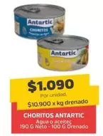Antartic - Choritos