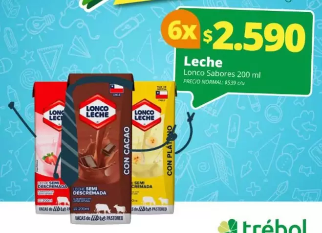 Leche Sur - Lonco Sabores