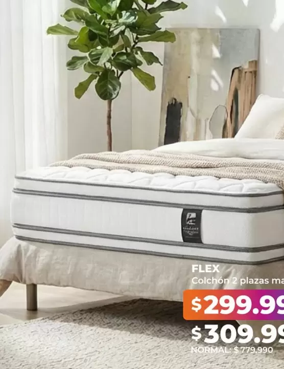 Flex - Colchon