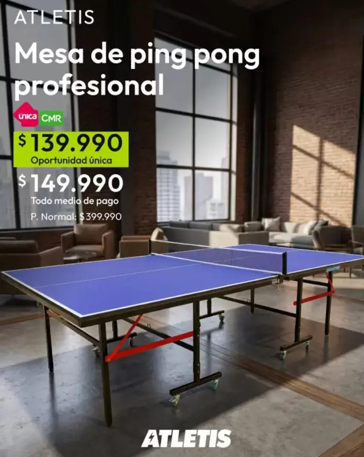 Mesa De Ping Pong Profesional