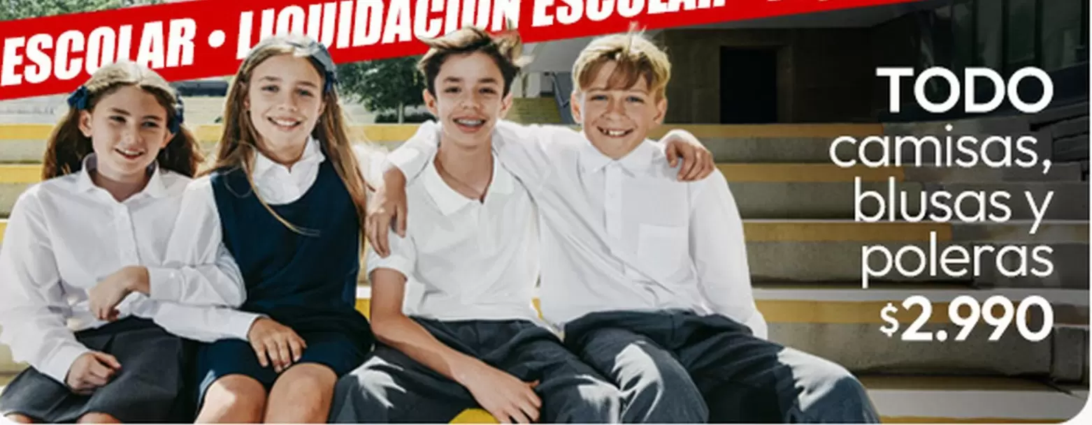 Camisas, Blusas Y Poleras