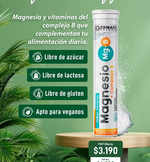 Magnesio Y Vitaminas Del Complejo B Que Complementan Tu Alimentación Diaria