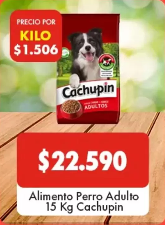 Cachupin - Alimento Perro Adulto