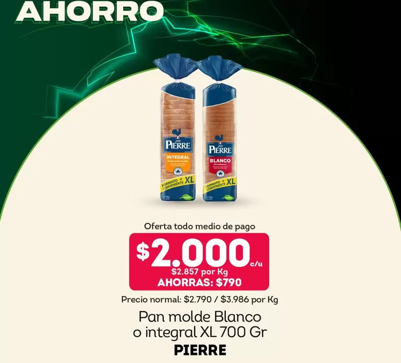 Pan Molde Blanco O Integral