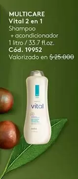 Vital - Multicare