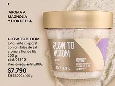 Fiat - Glow To Bloom