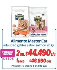 Master Cat - Alimento