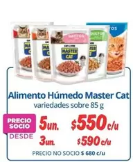 Cat - Alimento Humedo Master