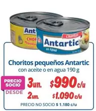 Antartic - Choritos Pequenos