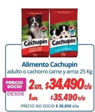 Cachupin - Alimento