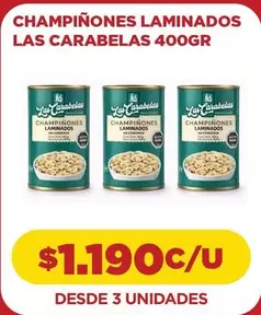 Champinones Laminados