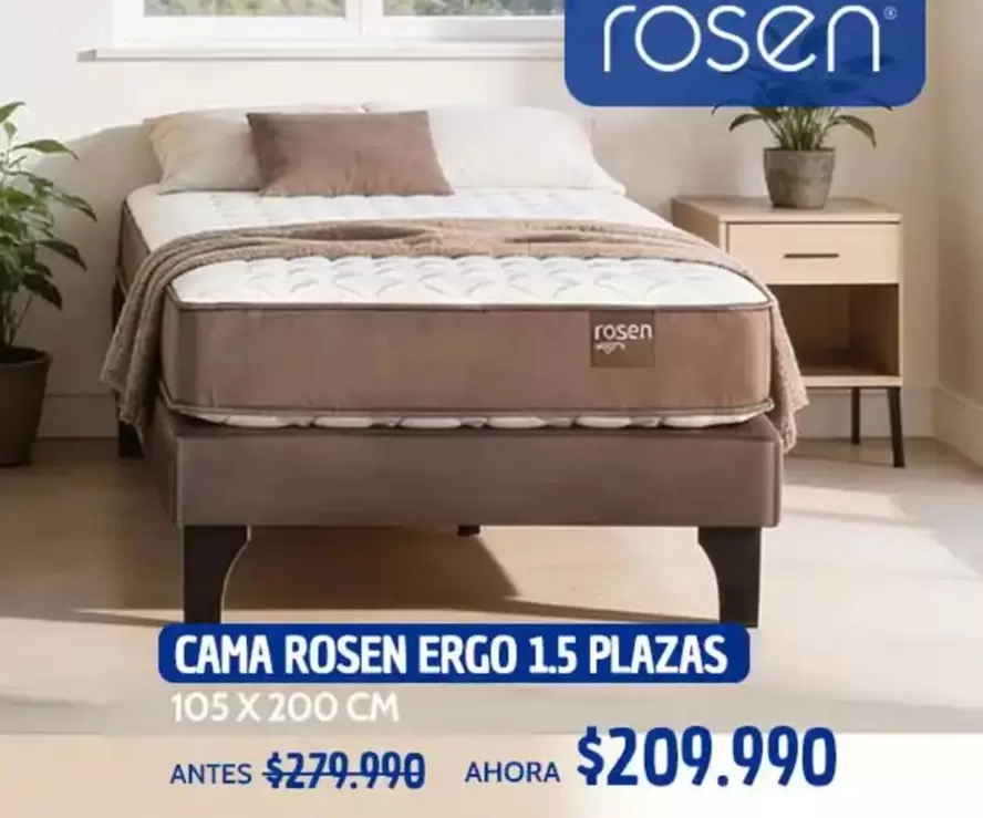 Rosen - Cama Ergo