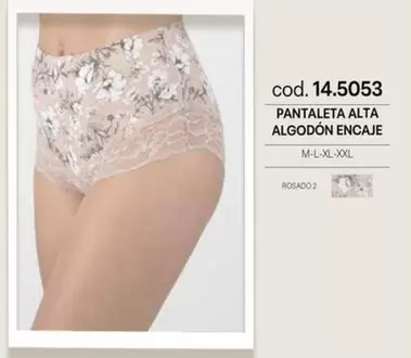 Pantaleta Alta Algodon Encaje