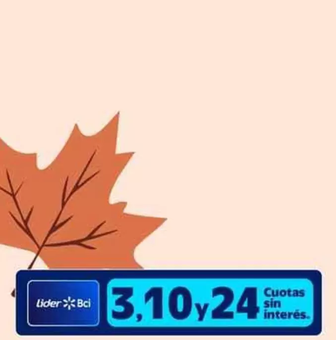 Lider - Cuotas Sin Interes