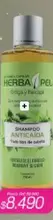 Shampoo Anticaida