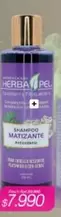 Shampoo